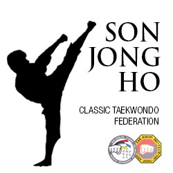 fuchsdesign-classic-taekwondo1